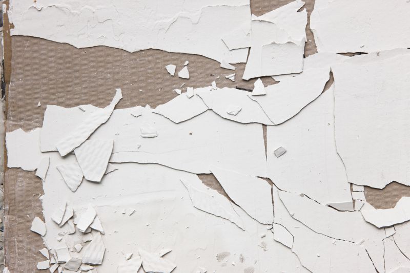 Synthetic Stucco Repair in Marin County, CA