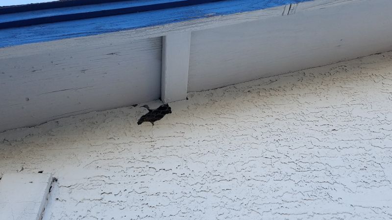 Synthetic Stucco Repair in Ventura County, CA